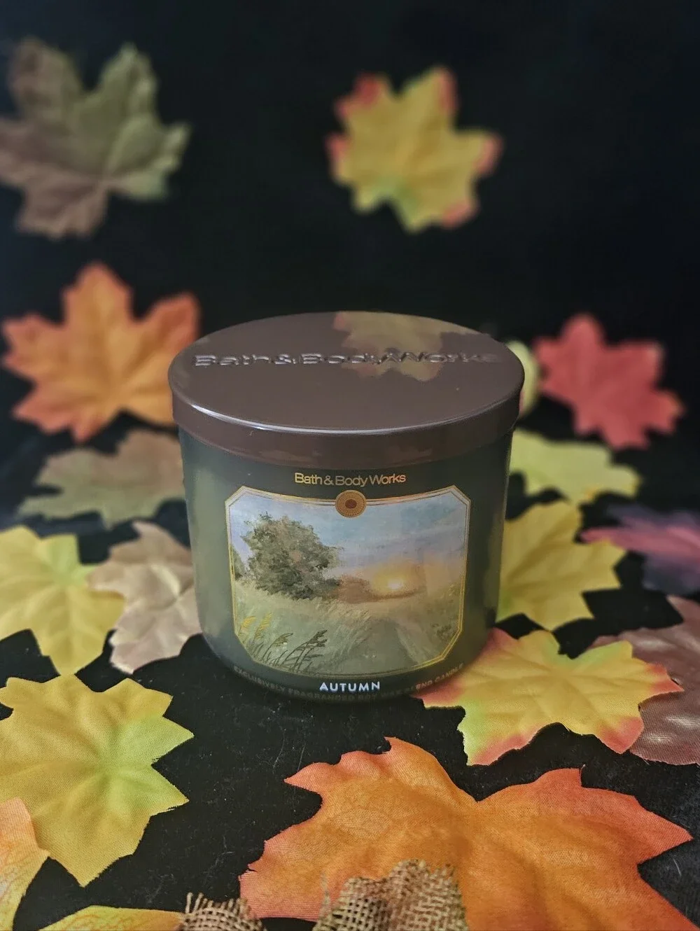 Bath & Body Works this soy